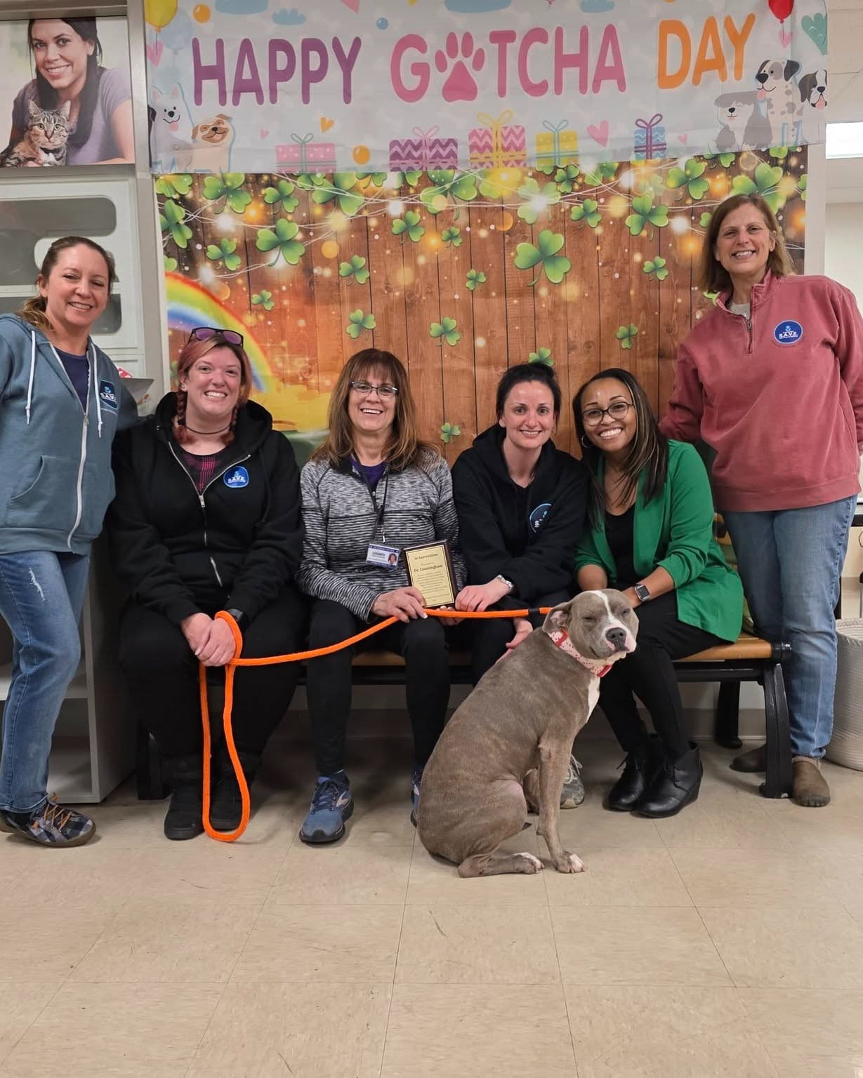 A shelter animal helped by SAVE